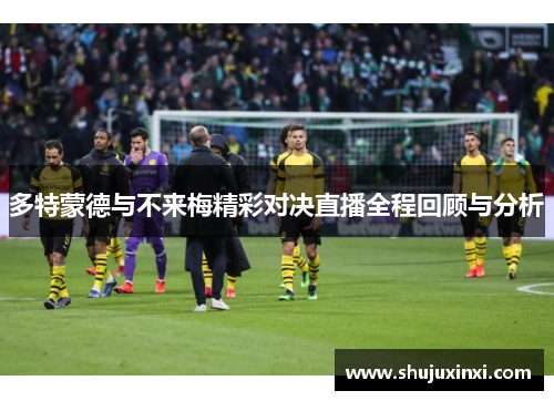 多特蒙德与不来梅精彩对决直播全程回顾与分析
