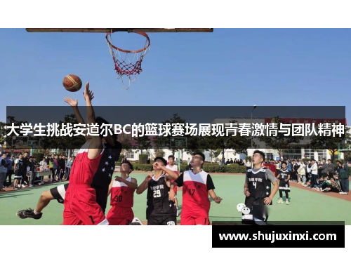 大学生挑战安道尔BC的篮球赛场展现青春激情与团队精神